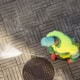 Worker cleaning a street sidewalk with high pressure water jet machine on sunny day. Copy space. Top view